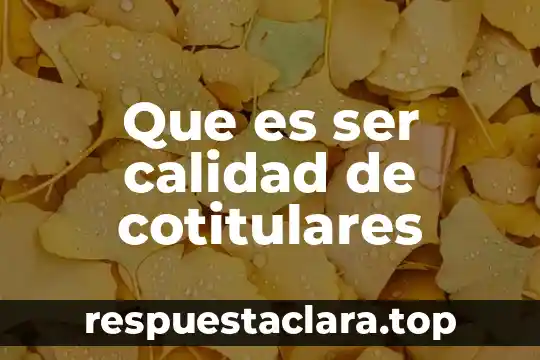 Que es ser calidad de cotitulares