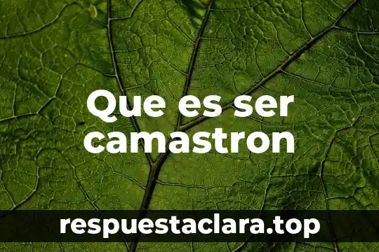 Que es ser camastron