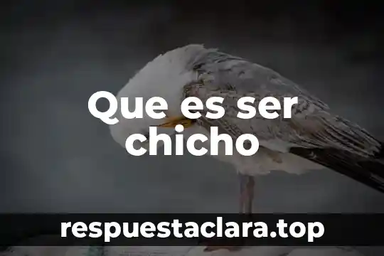 Que es ser chicho
