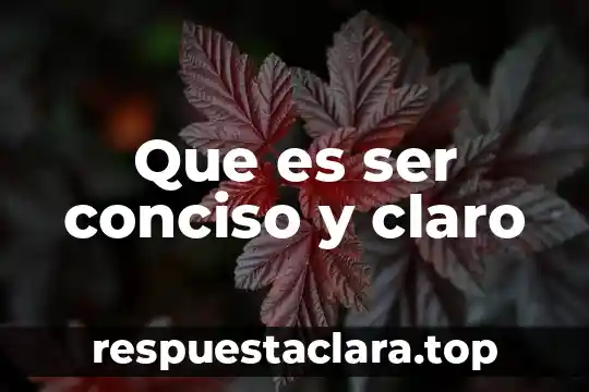 Que es ser argentino para vos 3 Que es ser conciso y claro
