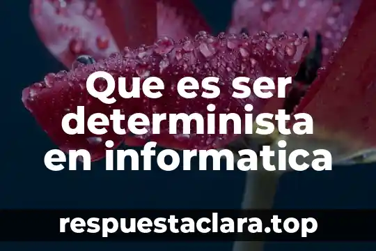 Que es ser determinista en informatica