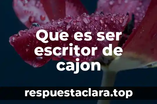 Que es ser escritor de cajon