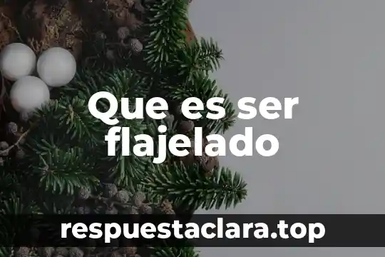 Que es ser flajelado