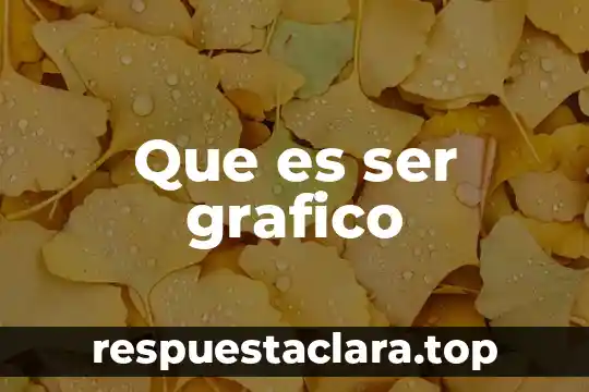 Que es ser grafico