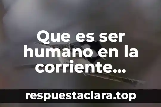 Que es ser humano en la corriente humanistas