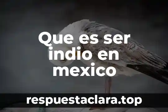 Historia de mexico que es 6 Que es ser indio en mexico