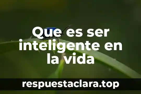 Ser terco que es 7 Que es ser inteligente en la vida