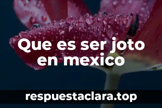 Que es la fsc en mexico 5 Que es ser joto en mexico