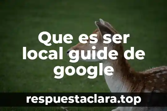 Que es ser local guide de google