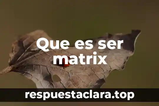 Que es ser matrix