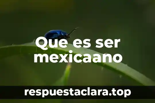 Que es ser mexicaano