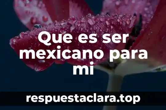 Que es un campo potencial de velocidad 4 Que es ser mexicano para mi