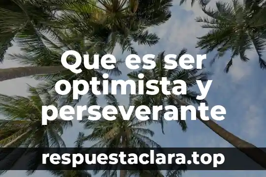 Ser terco que es 5 Que es ser optimista y perseverante