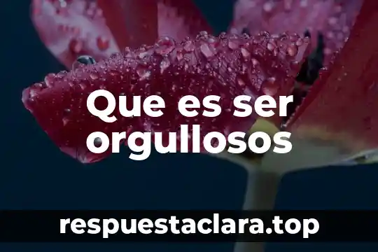 Que es ser orgullosos
