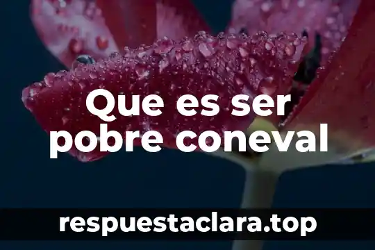 Que es ser pobre coneval
