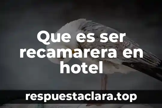 Ser terco que es 6 Que es ser recamarera en hotel