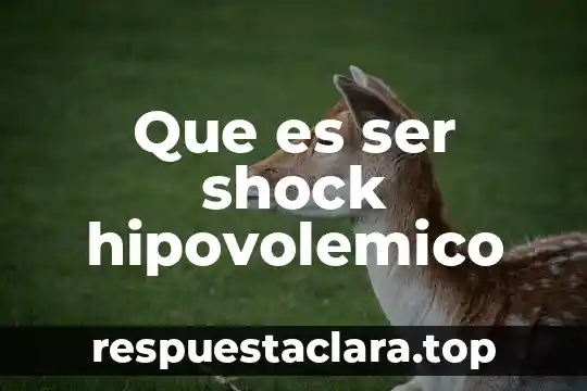 Que es ser shock hipovolemico