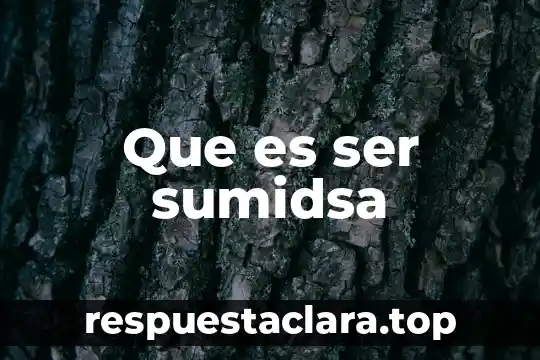 Que es ser sumidsa