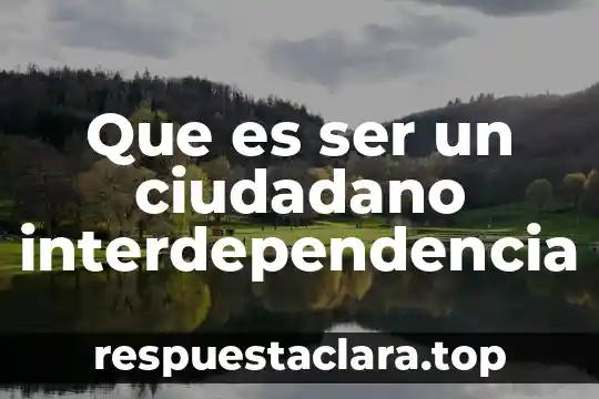 Que es ser un ciudadano informado 4 Que es ser un ciudadano interdependencia