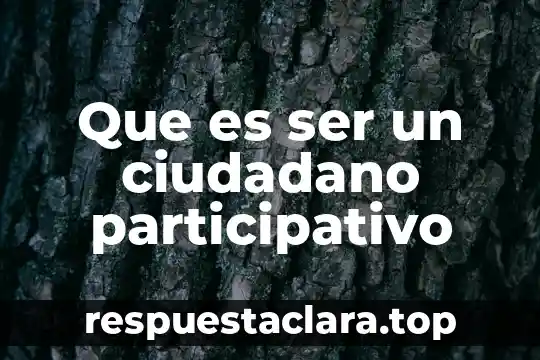 Que es ser un ciudadano participativo