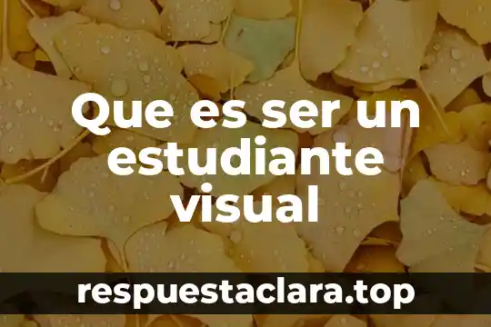 Que es ser un estudiante visual