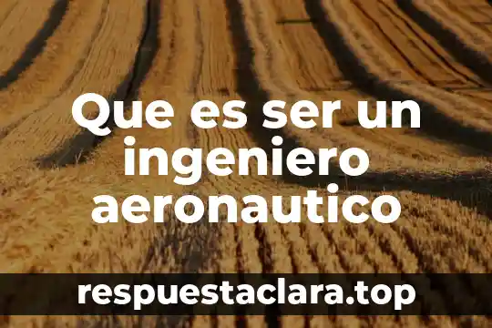 Que es ser menos ingenuo 7 Que es ser un ingeniero aeronautico