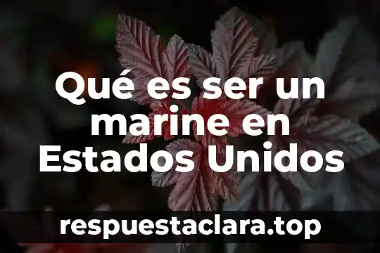 Qué es ser un marine en Estados Unidos