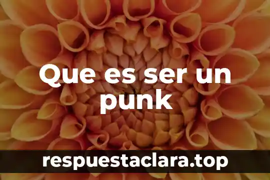 Que es ser un punk