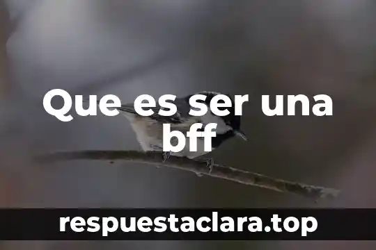 Que es ser una bff