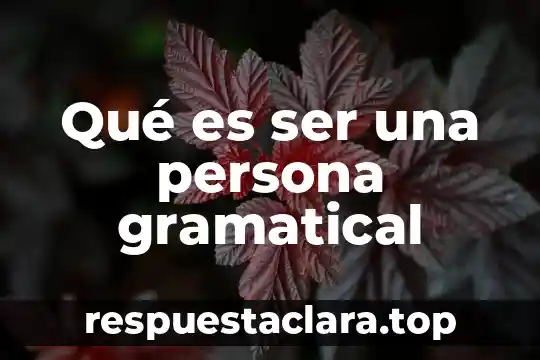 Qué es ser una persona gramatical