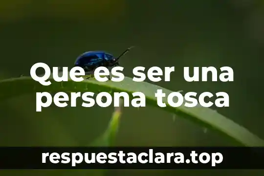 Qué es ser honesto y sincero 5 Que es ser una persona tosca