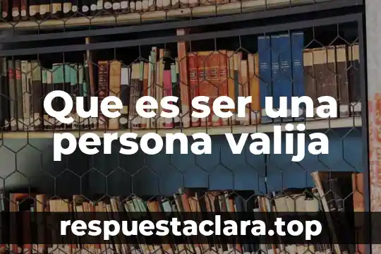 Que es ser una persona valija