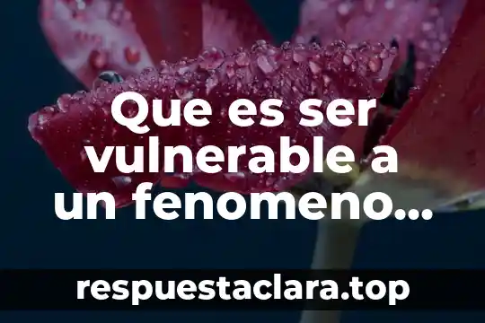 Que es ser vulnerable a un fenomeno natural