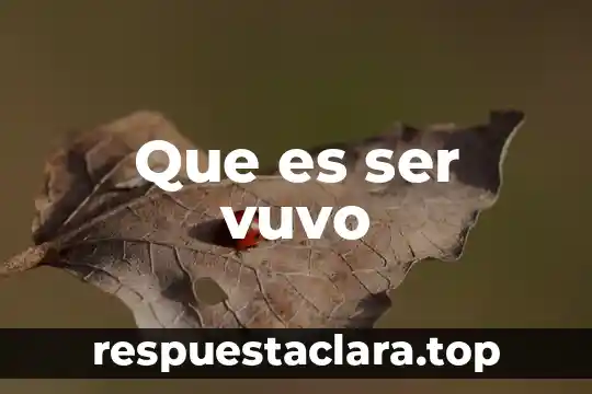 Que es ser vuvo