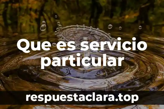 Que es servicio particular