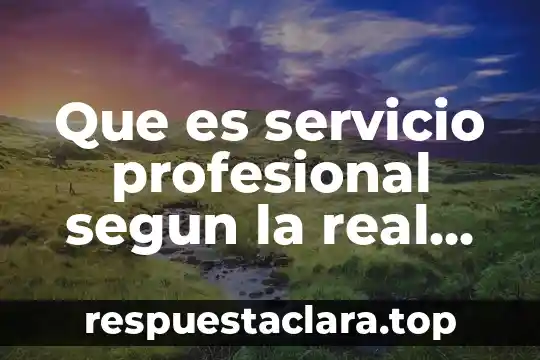 Que es servicio profesional segun la real academia