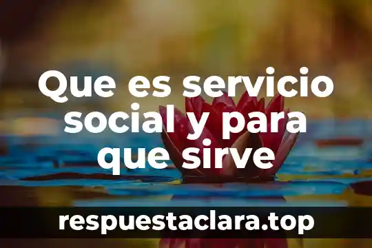 Que es el trabajo como hecho social concepto 5 Que es servicio social y para que sirve