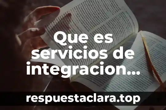 Que es servicios de integracion reynosa