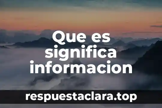 Auditor del sistema de información que es 3 Que es significa informacion