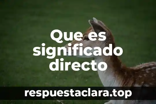 Que es un acceso directo en informatica 3 Que es significado directo