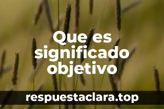 Que es objetivo primordial de la materia 6 Que es significado objetivo
