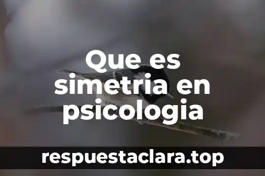 Que es el autismo psicologia y mente 3 Que es simetria en psicologia