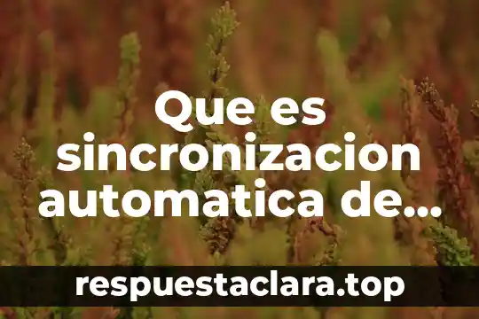 Que es la programacion de aplicaciones naticas 8 Que es sincronizacion automatica de datos de aplicaciones