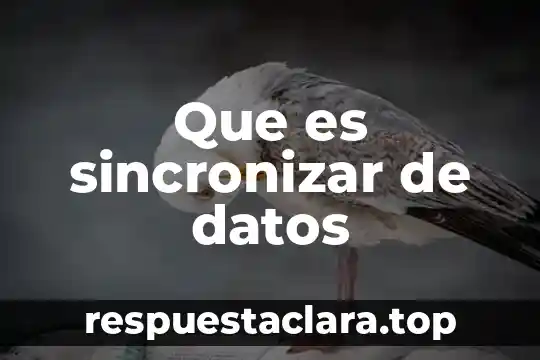 Abstracción de base de datos estándar que es 4 Que es sincronizar de datos