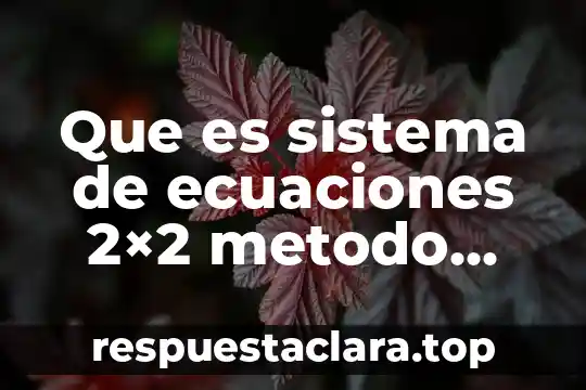 Que es grafico x-s 7 Que es sistema de ecuaciones 2×2 metodo grafico