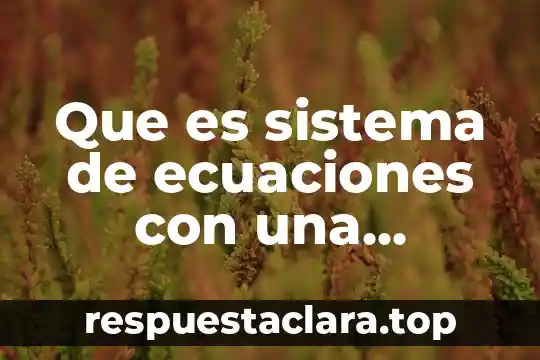 Que es sistema de ecuaciones con una incognita