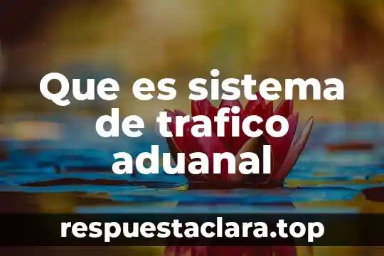 Que es sistema de trafico aduanal