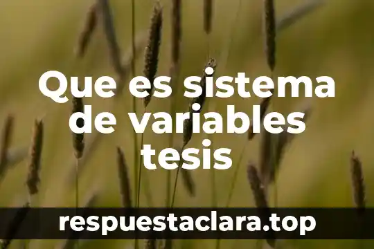 Que es sistema de variables tesis