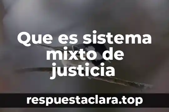 Que es sistema mixto de justicia