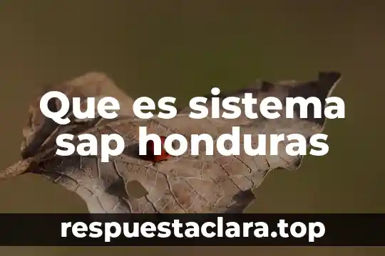Qué es más difícil, ser consultor SAP o seguridad 8 Que es sistema sap honduras